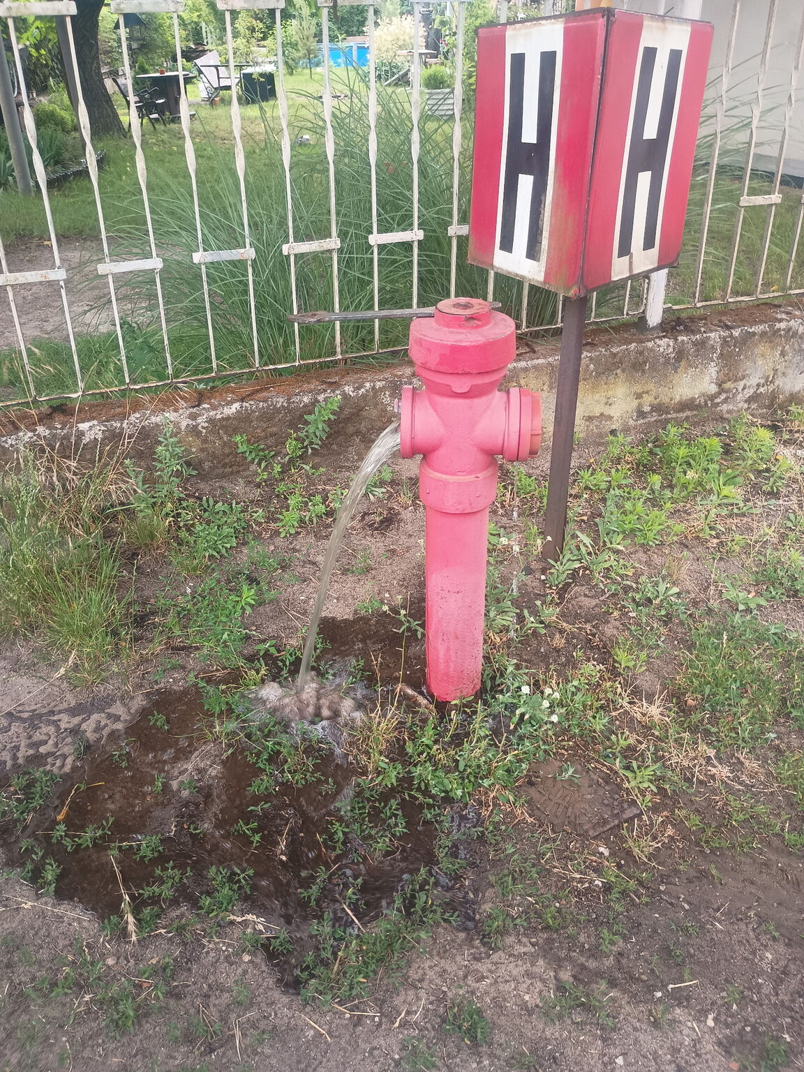 IMG 20260612 123753